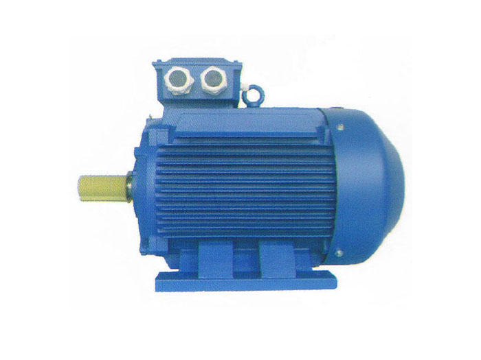 YE3系列超高效率三相異步電動(dòng)機(jī)