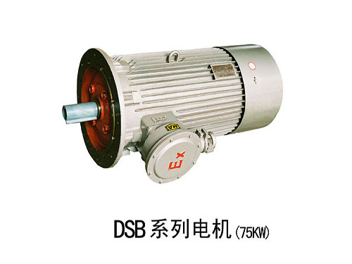 DSB防爆電機(jī)